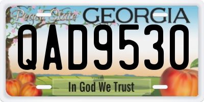 GA license plate QAD9530