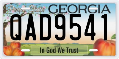 GA license plate QAD9541