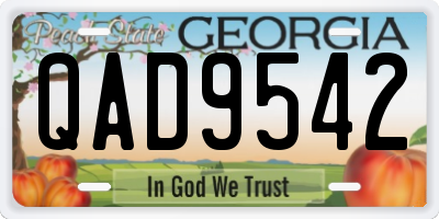 GA license plate QAD9542