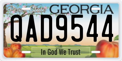 GA license plate QAD9544