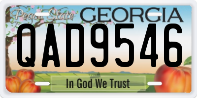 GA license plate QAD9546