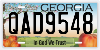 GA license plate QAD9548