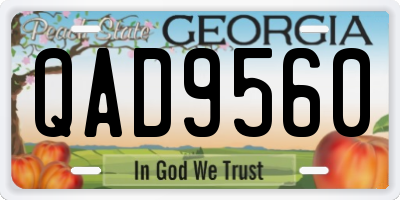 GA license plate QAD9560