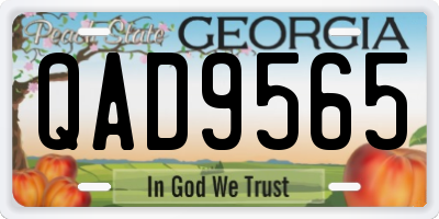 GA license plate QAD9565