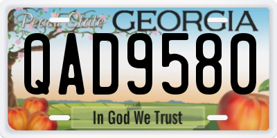 GA license plate QAD9580