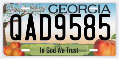 GA license plate QAD9585
