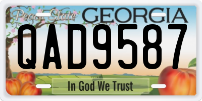 GA license plate QAD9587