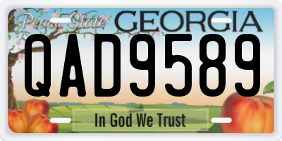 GA license plate QAD9589
