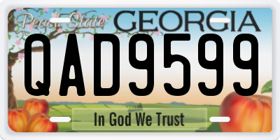 GA license plate QAD9599