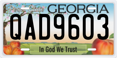 GA license plate QAD9603