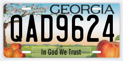 GA license plate QAD9624