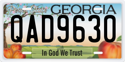 GA license plate QAD9630