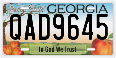GA license plate QAD9645