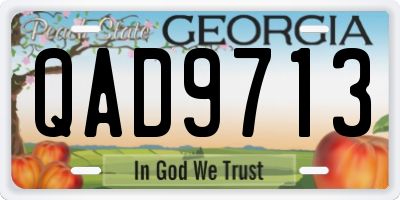 GA license plate QAD9713