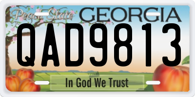 GA license plate QAD9813