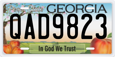 GA license plate QAD9823