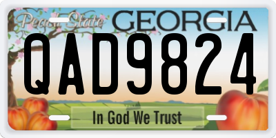 GA license plate QAD9824