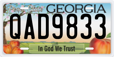 GA license plate QAD9833