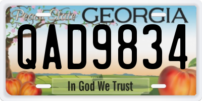GA license plate QAD9834