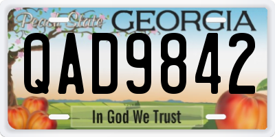 GA license plate QAD9842
