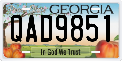 GA license plate QAD9851