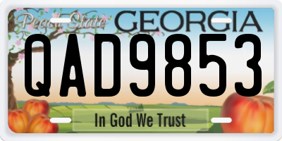 GA license plate QAD9853