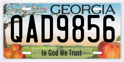 GA license plate QAD9856