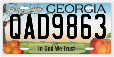 GA license plate QAD9863