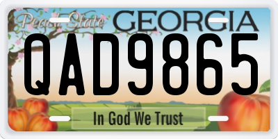 GA license plate QAD9865