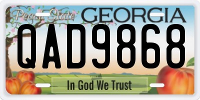 GA license plate QAD9868