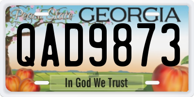 GA license plate QAD9873