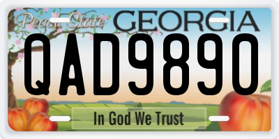 GA license plate QAD9890