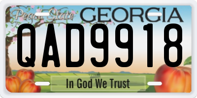 GA license plate QAD9918