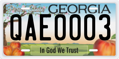 GA license plate QAE0003