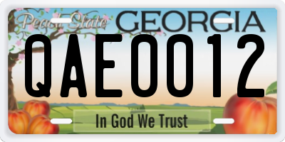 GA license plate QAE0012