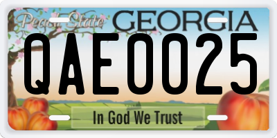 GA license plate QAE0025