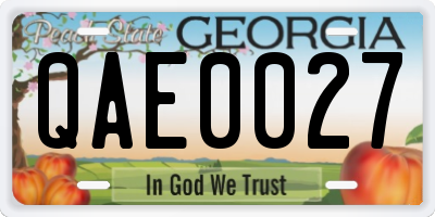 GA license plate QAE0027