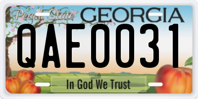 GA license plate QAE0031