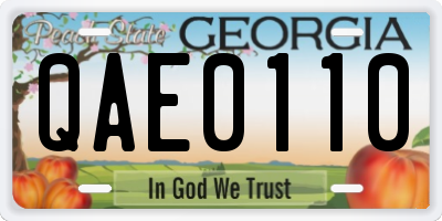 GA license plate QAE0110