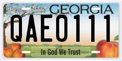 GA license plate QAE0111
