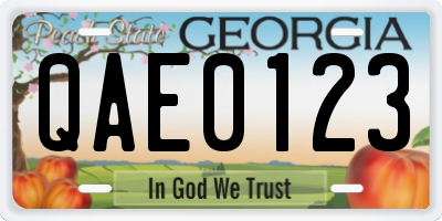 GA license plate QAE0123