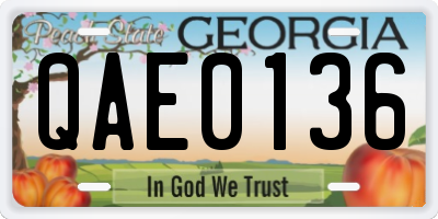 GA license plate QAE0136