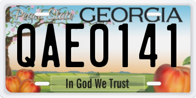 GA license plate QAE0141