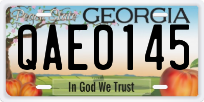 GA license plate QAE0145