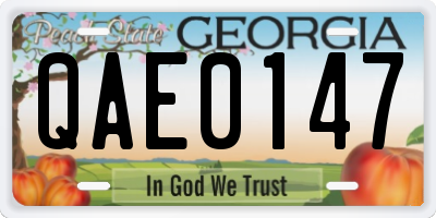 GA license plate QAE0147