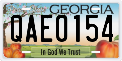 GA license plate QAE0154
