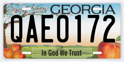GA license plate QAE0172