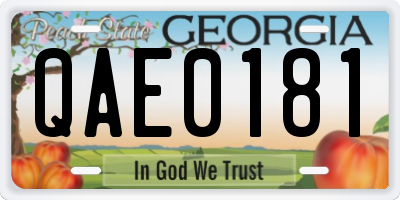 GA license plate QAE0181