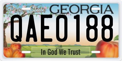 GA license plate QAE0188