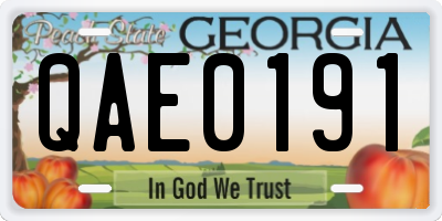 GA license plate QAE0191